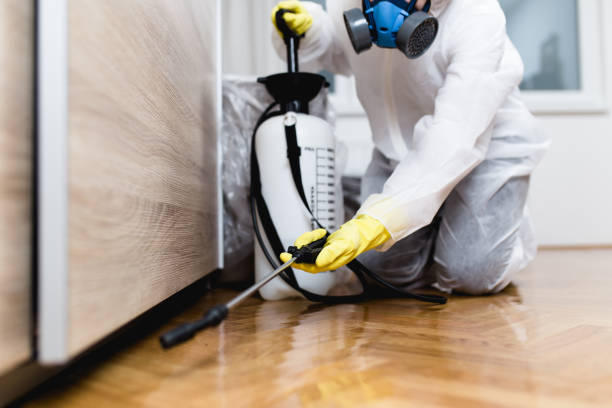 Best Cockroach Control Services  in Riverside, IL