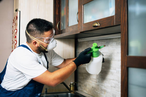 Best Exterminator Services  in Riverside, IL