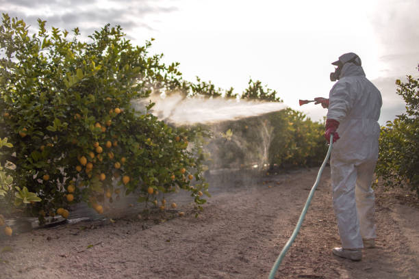 Best Pest Control Treatment  in Riverside, IL