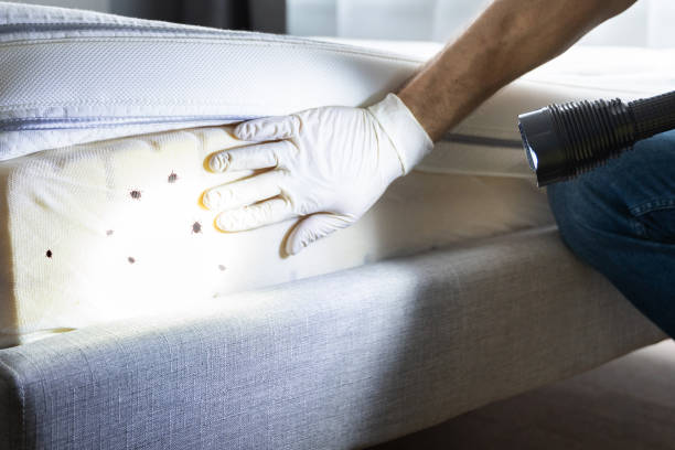 Professional Pest Control in Riverside, IL
