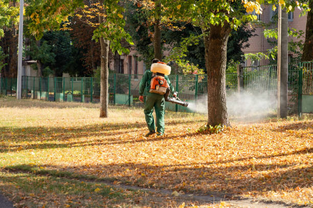 Best Affordable Pest Control Services  in Riverside, IL