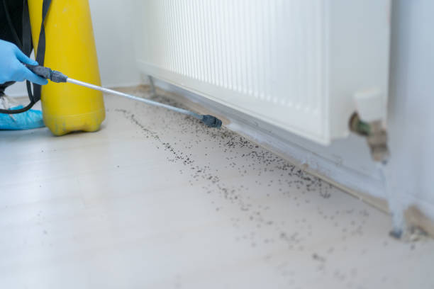 Best Termite Control Services  in Riverside, IL