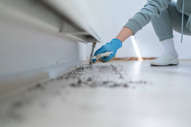 Flea Control Services in Riverside, IL